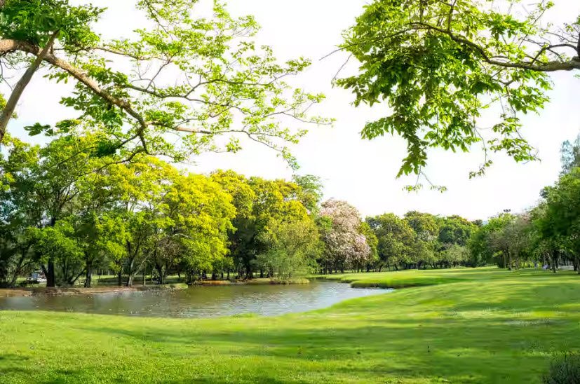 Kekorapool Park